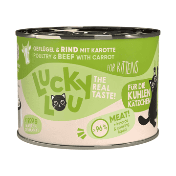 Kitten Poultry &amp; Beef
