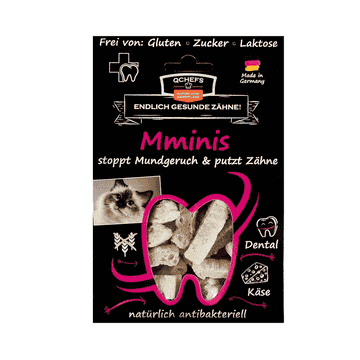 Mmini Chat