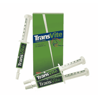 TransVite Paste