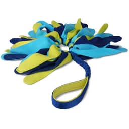Tuggi Spider