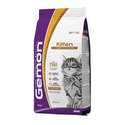 Cat Kitten Chicken and Rice