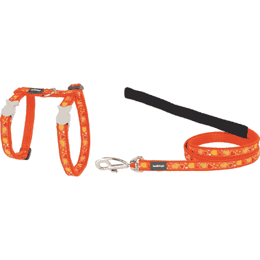 Harnais & laisse pour chats Design Breezy Love XS