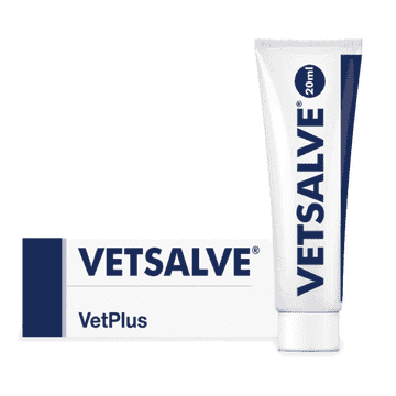 Vetsalve
