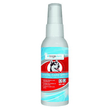bogadent Dental Care Spray Hund