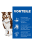 Canine Mature Adult 7+ Medium Breed Lamb & Rice