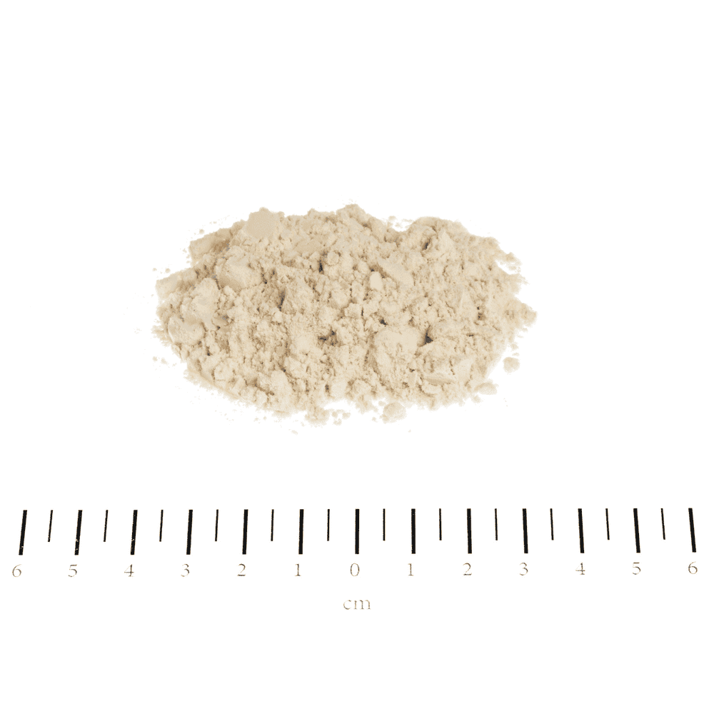 Beef fat powder