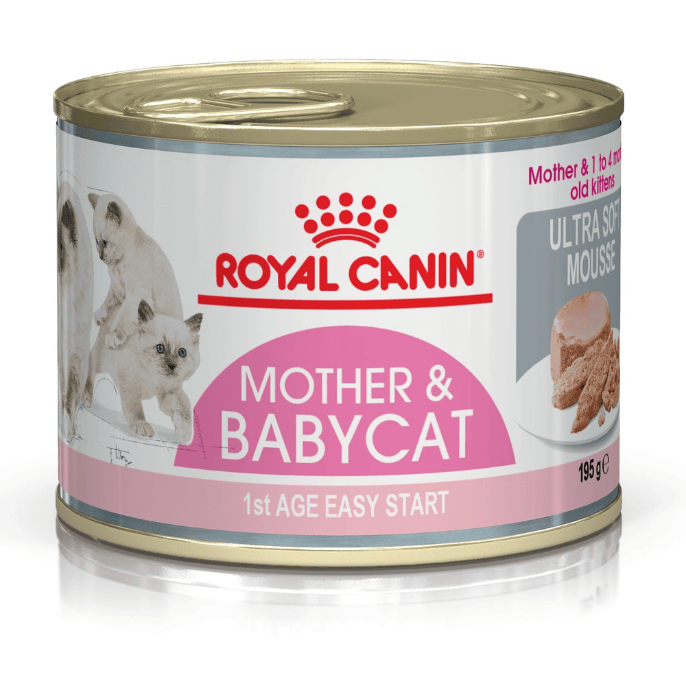 Mother & Babycat - Dose