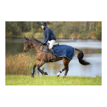Rambo Waterproof Fleece Exercise Sheet