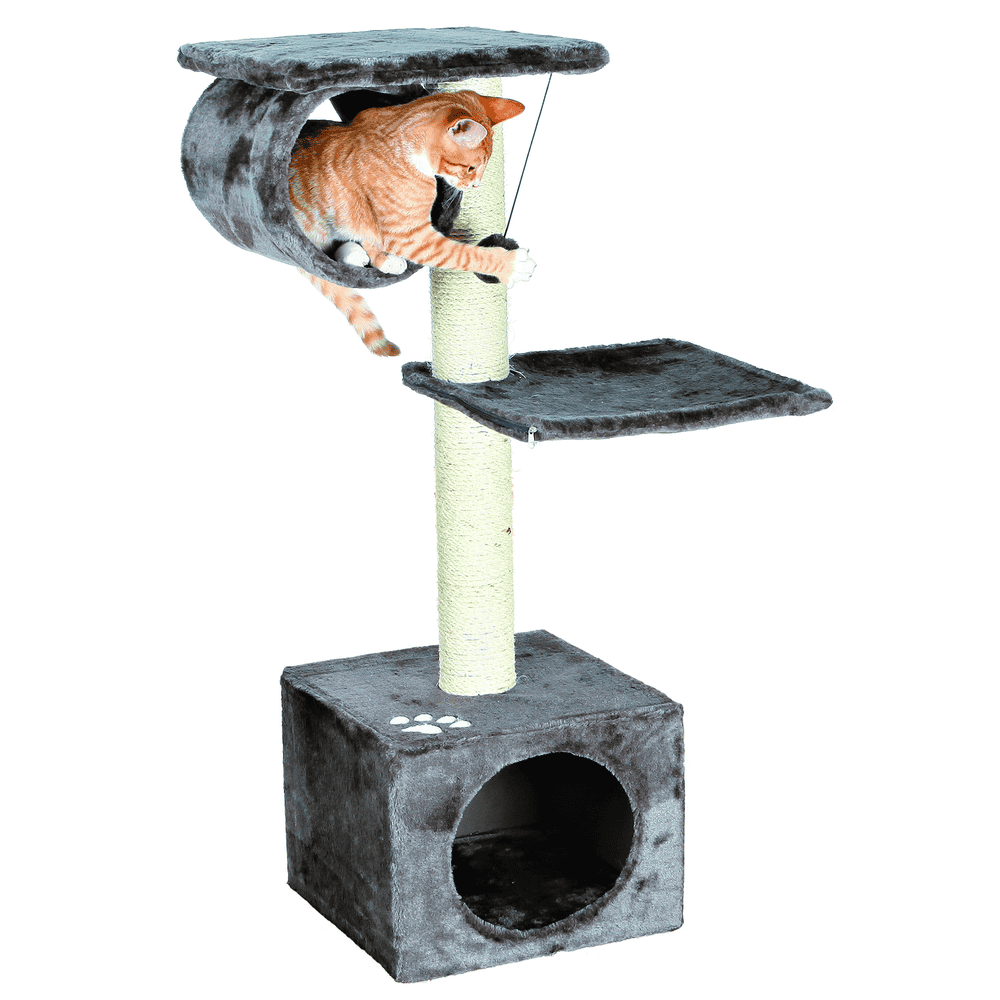 San Fernando cat scratcher