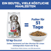 Canine Perfect Weight + Active Mobility Medium Breed