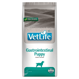 Canine Puppy Gastrointestinal