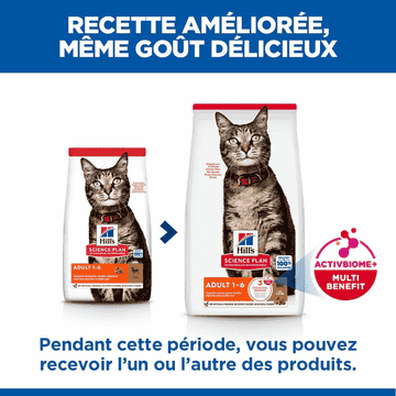 Feline Adult with Lamb
