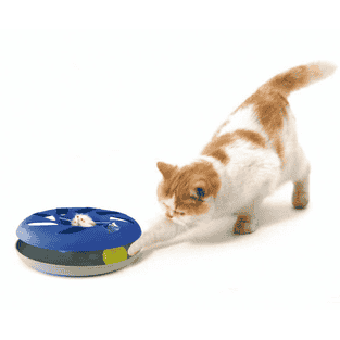 Katzenspielzeug Catsy Roundable