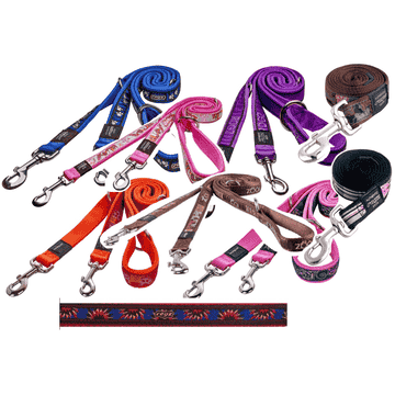 Dog leash Fancy Dress short