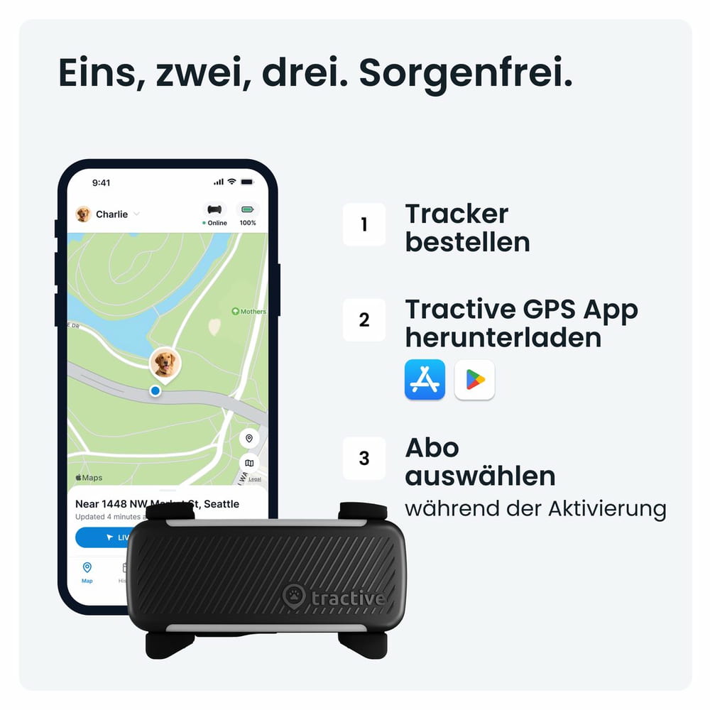 DOG 6 Tracker