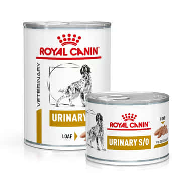 Urinary S/O Dog - boîte