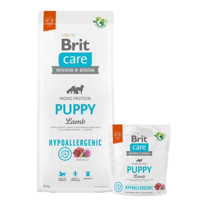 Care Dog Puppy - Lamb - Hypoallergenic