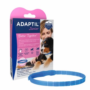 Junior Collar