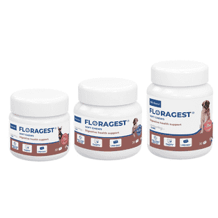 Floragest Soft Chews Hund
