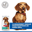 Canine Adult Perfect Weight Mini Breed