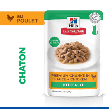 Kitten Chicken - Sachet