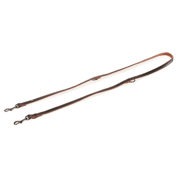 laisse Dover