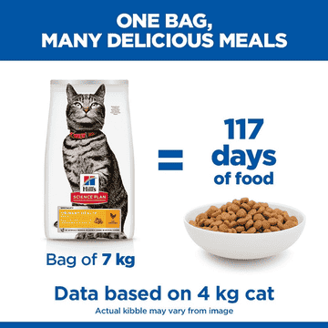 Feline Urinary Health