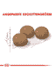 Ageing Sterilised 12+