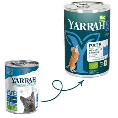 Pâté bio au poisson pour chats - boîte