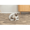 Scratching bridge Leo