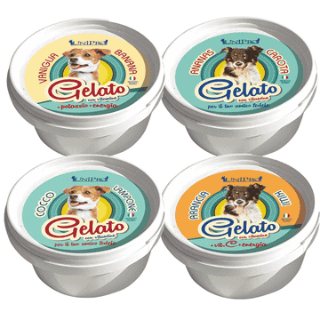 Glace pour chiens