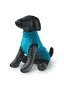 Pullover pour chien turquoise