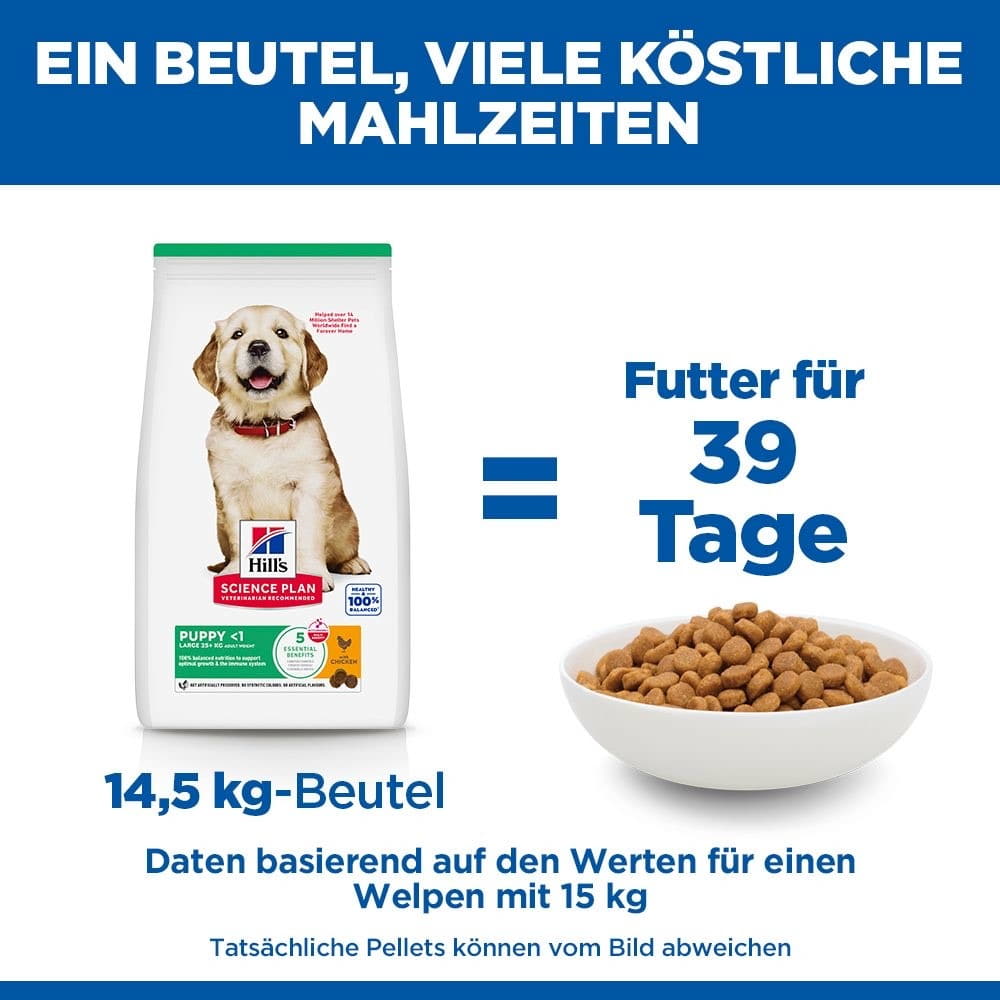 Puppy Large Breed