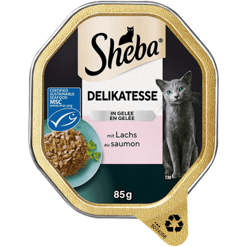 Delikatesse in Gelee mit Lachs