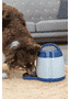 Dog Activity Memory Trainer 3.0