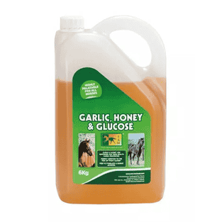 Garlic, Honey & Glucose