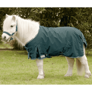 Couverture de pluie pour shetland - vert sapin