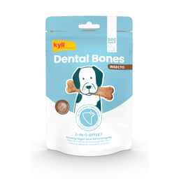 Dental Bones Insecto