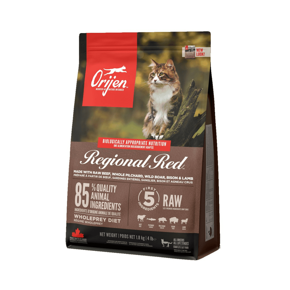 REGIONAL RED Cat