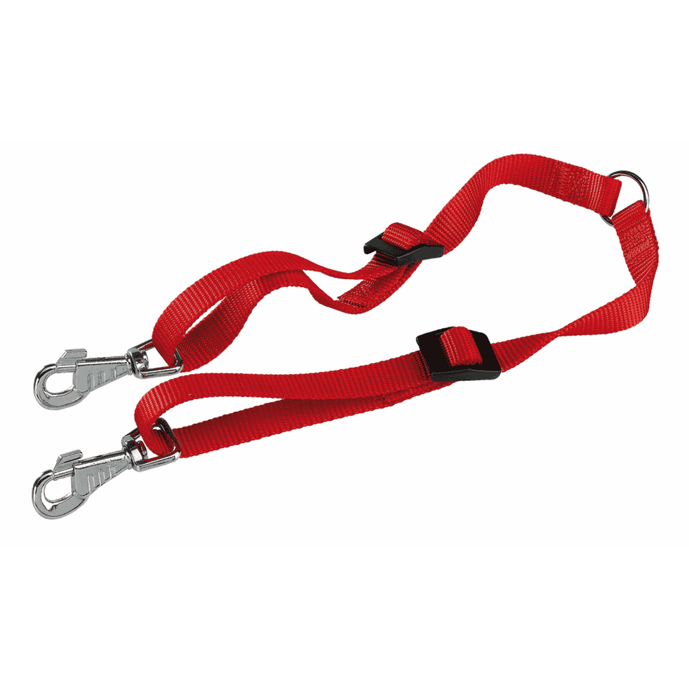 Twin leashes for dogs