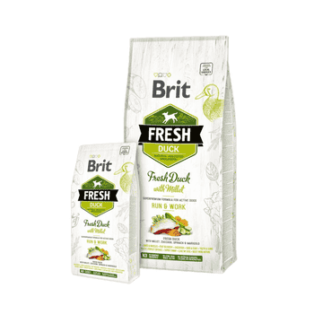 Fresh Dog - Active dogs - Fresh Duck with Millet - Adult Run & Work