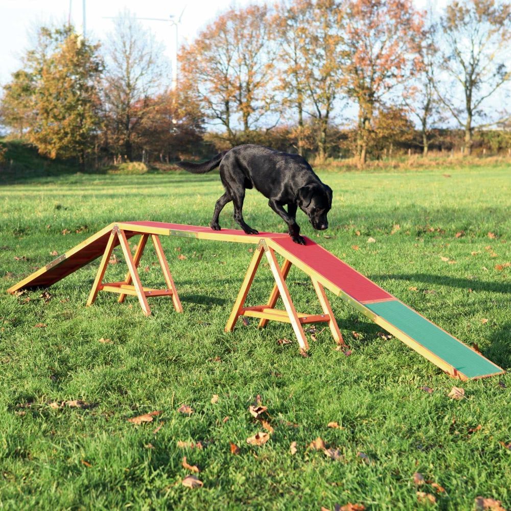 Dog Activity Agility Steg