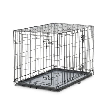 Cottage pour chiens