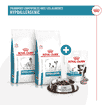 Hypoallergenic Treats