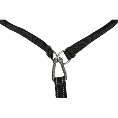 Ceinture ventrale avec laisse pour jogging acheter en ligne iPet.ch