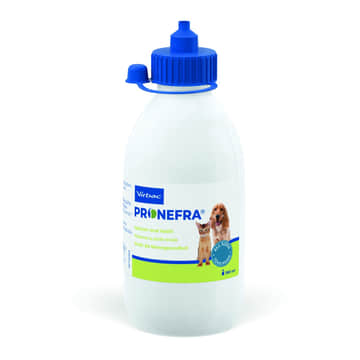 Pronefra