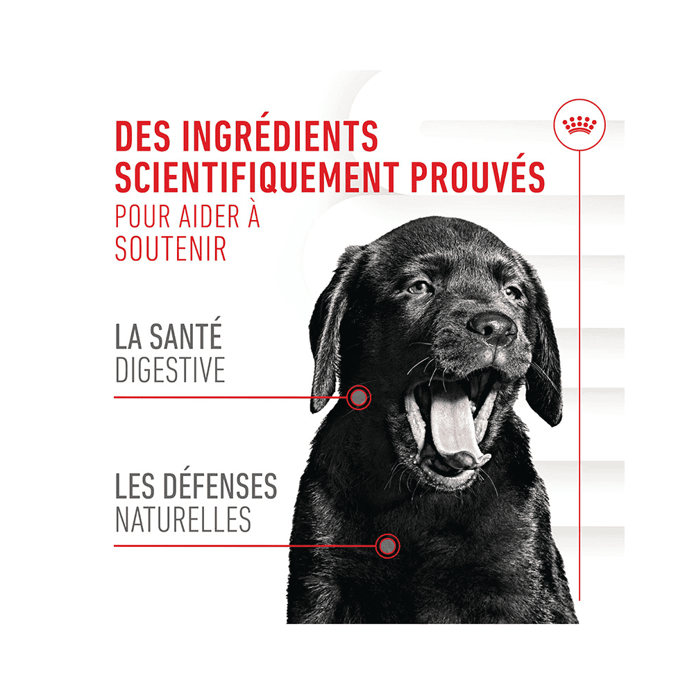 Immunity & Digestion Chews Puppy Supplements