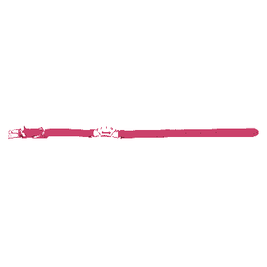 Deluxe Halsband Queen