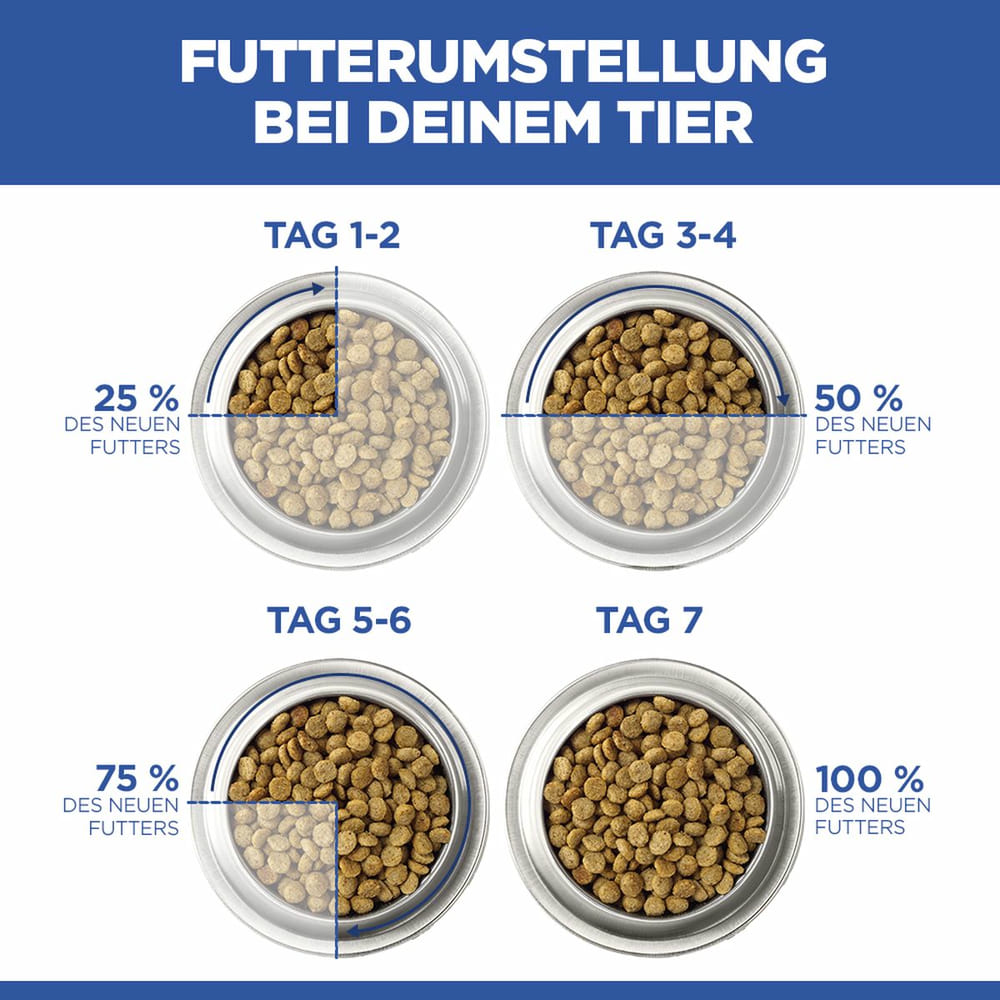 Canine Adult Perfect Weight Medium Breed