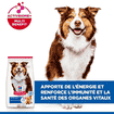 Canine Mature Adult 7+ Medium Breed Chicken